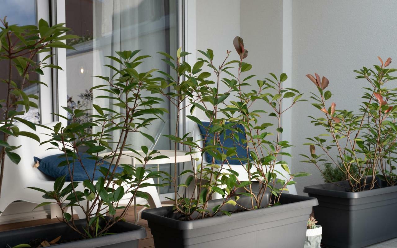 Apartment Profondo بولا المظهر الخارجي الصورة
